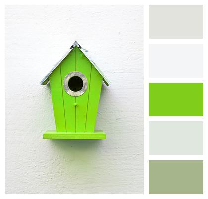 Green Bird House Birds Image